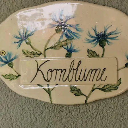 02 Kornblume - Hof Wiesengrund