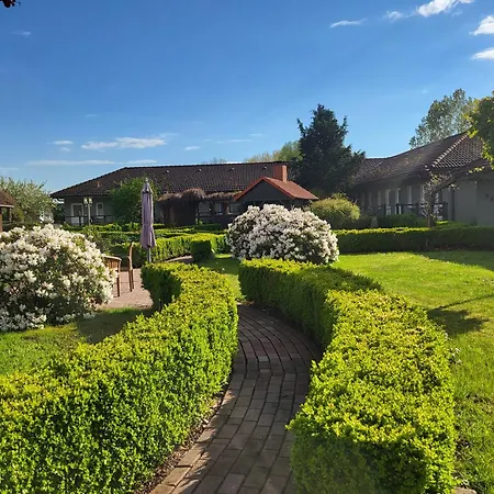 02 Kornblume - Hof Wiesengrund