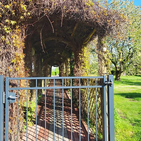 02 Kornblume - Hof Wiesengrund * Parchtitz