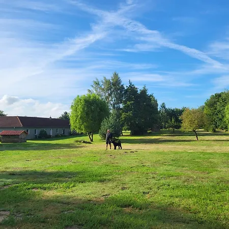 02 Kornblume - Hof Wiesengrund