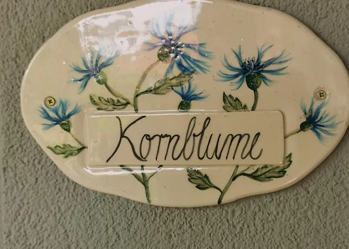 02 Kornblume - Hof Wiesengrund