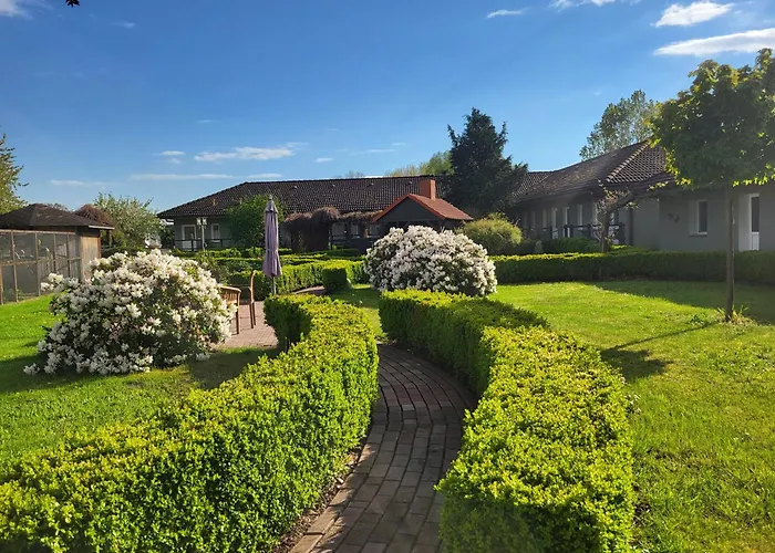 02 Kornblume - Hof Wiesengrund