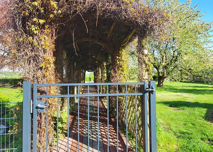 02 Kornblume - Hof Wiesengrund * Parchtitz